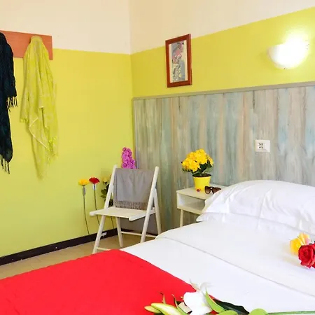 Hotell New *
